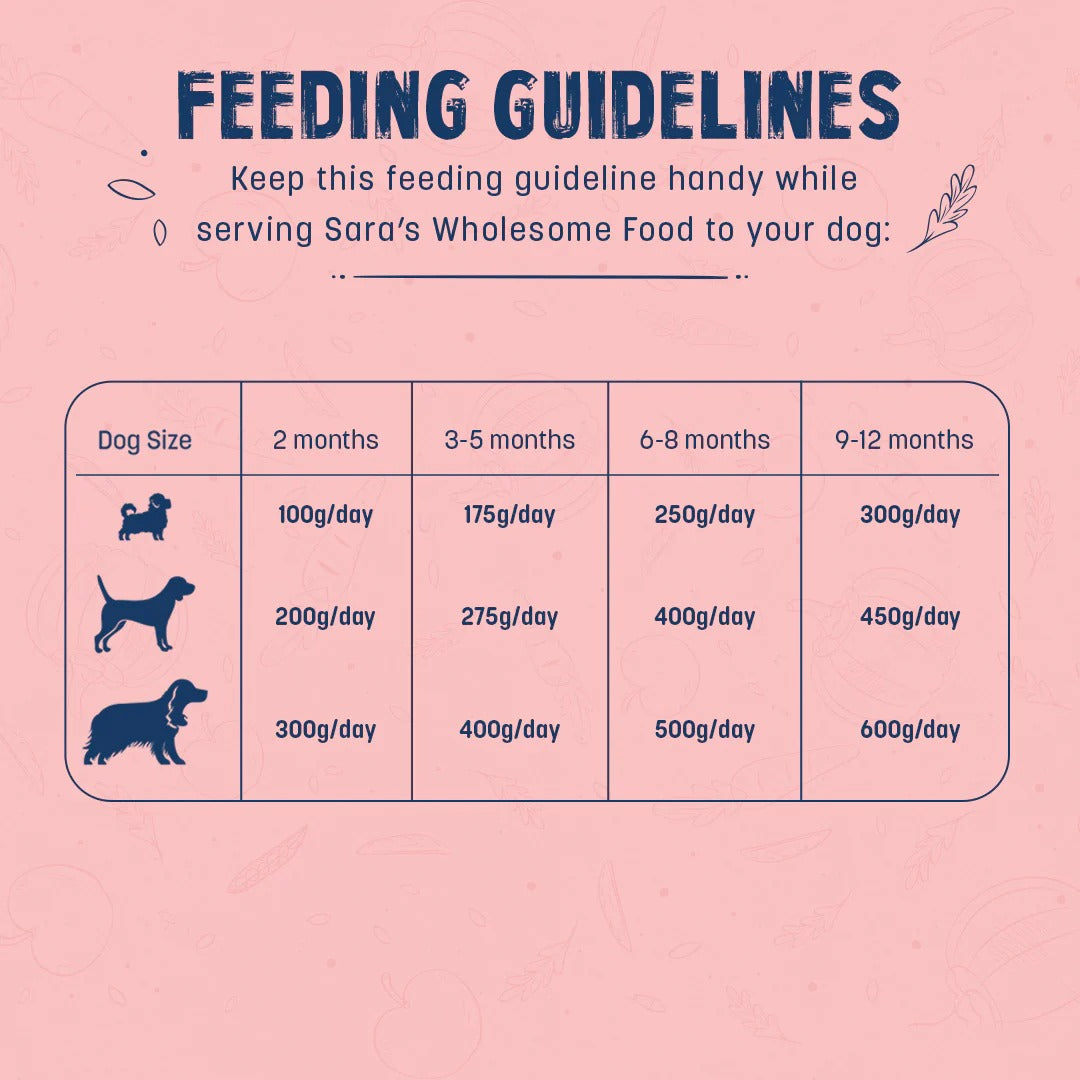 Sara's Wholesome Chicken & Brown Rice Wet Food For Puppy - 100 gm